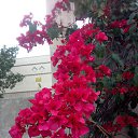 ���� 5yghi, ������������, 35 ��� - ��������� 2 ������� 2023 � ������ ���� ����������