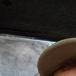 ������, ������, 49 ���