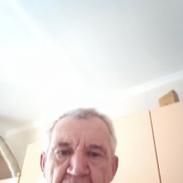 �����, �����������, 65 ���