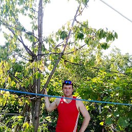 ��������, ����������, 40 ���