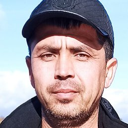 �����, �������, 43 ����