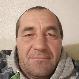 ����, �������, 43 ����