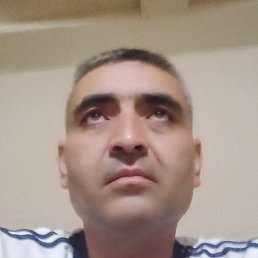 ����, �����, 42 ����