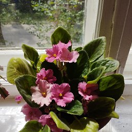 ���� ���, ������, 68 ��� - ��������� 6 ���� 2023