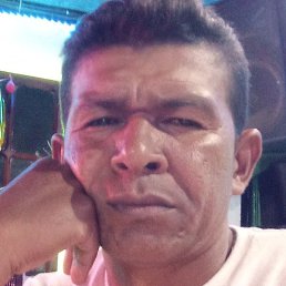 Alexander, ���������, 47 ���