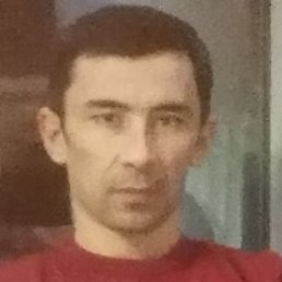 �����, �����-���������, 37 ���