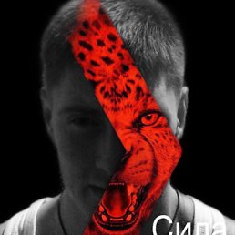 ����, �������-���������, 21 ���