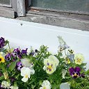 ���� �����, �����������, 58 ��� - ��������� 24 ���� 2023