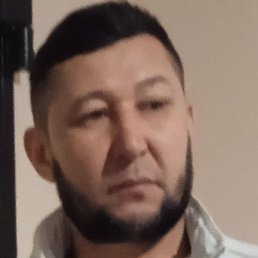 �����, �����-���������, 46 ���