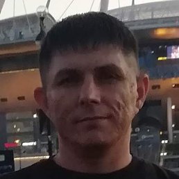 ����, �����-���������, 48 ���