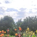 ���� �������, ��������� - ��������� 4 ����� 2023 � ������ ���� ����������