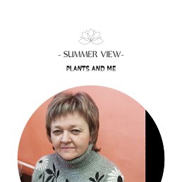 , 51, 