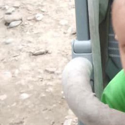 ����, ������, 37 ���