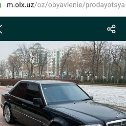 Zoxid, �����, 44 ����