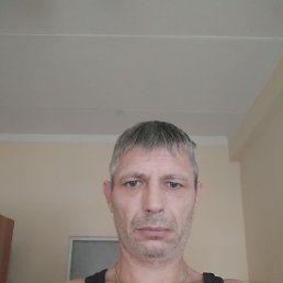 ���� �������, �����, 48 ��� - ��������� 3 �������� 2023