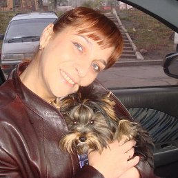 �����, �����������, 54 ����