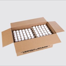 ������� ����������, ������������