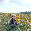 ���� ������, ���������, 56 ��� - ��������� 8 ����� 2023 � ������ ���� ����������