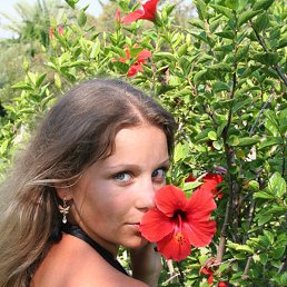 ����, �����������, 43 ����