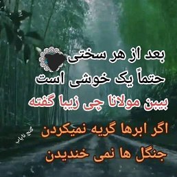 ���� Mohammed Edris Sharifi, ���������, 24 ���� - ��������� 16 �������� 2023