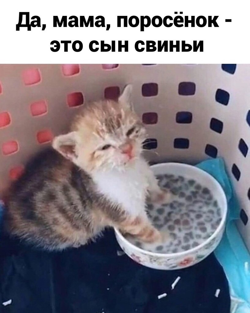��� � ���) - 3