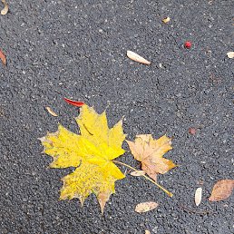 ���� �����, ���������, 46 ��� - ��������� 17 ������� 2023