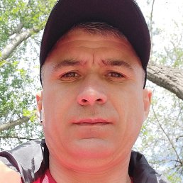 Vanea, �������, 44 ����