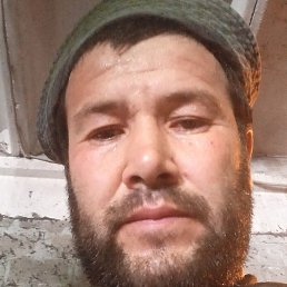 ��������, ������, 41 ���