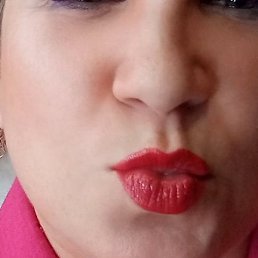 ������, ������ �����, 40 ���