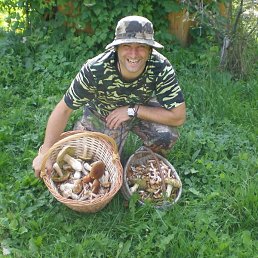 �������, ������, 47 ���