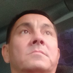 ������, ������, 49 ���