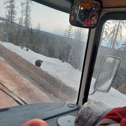 ���� �����, ������ ��������, 37 ��� - ��������� 18 ������ 2023