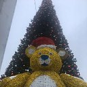 ���� ���������, ������ ��������, 56 ��� - ��������� 22 ������� 2023