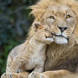 ���� ������, �������, 67 ��� - ��������� 26 ���� 2023