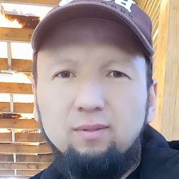 ��������, ������, 37 ���