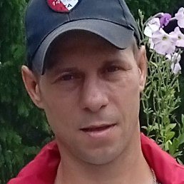 �����, ������, 41 ���