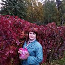 ���� �����, �������, 41 ��� - ��������� 19 ������� 2023 � ������ ���� ����������