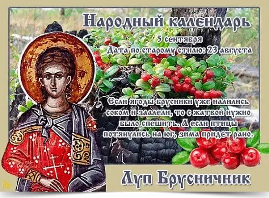 5 сентября - Луп Брусничник. —————————————— Дата по старому стилю: 23 августа. В этот день ...