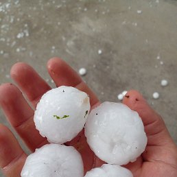 ����, �����������, 26 ���