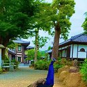 ���� ����, �����, 38 ��� - ��������� 6 ������� 2023 � ������ ���� ����������