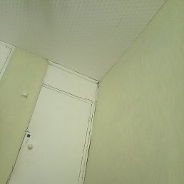 �������, ������, 38 ���