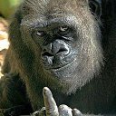 ���� �������, ��������, 40 ��� - ��������� 20 ���� 2023 � ������ ���� ����������