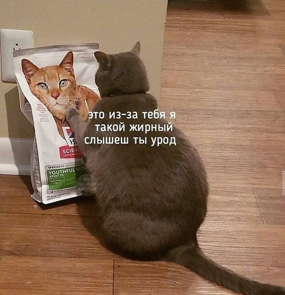 ��� �������� �������� - 7 ������� 2023 � 14:31