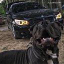 ���� ����, ������, 37 ��� - ��������� 7 ��� 2023