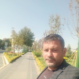 ���� ����, ���������, 43 ���� - ��������� 11 ���� 2023