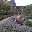 ���� �����, ������, 49 ��� - ��������� 20 ������� 2023 � ������ ���� ����������