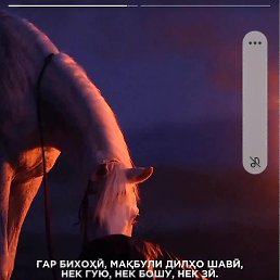 �����, �����-���������, 34 ����