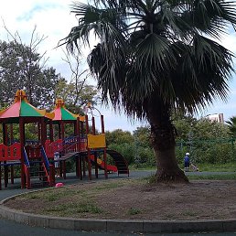 Miki Maus, ������, 30 ���