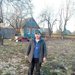 �����, �����, 49 ���