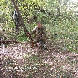 ���������, ������, 51 ���